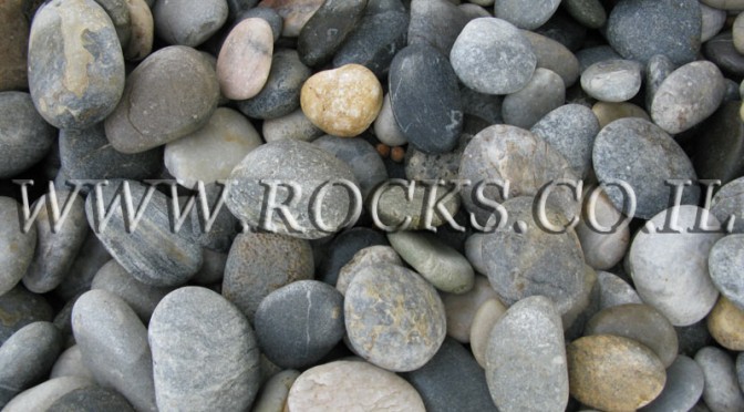 חלוקי נחל כפתורים