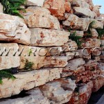 סלעים מקומיים- סלע לקט גליל