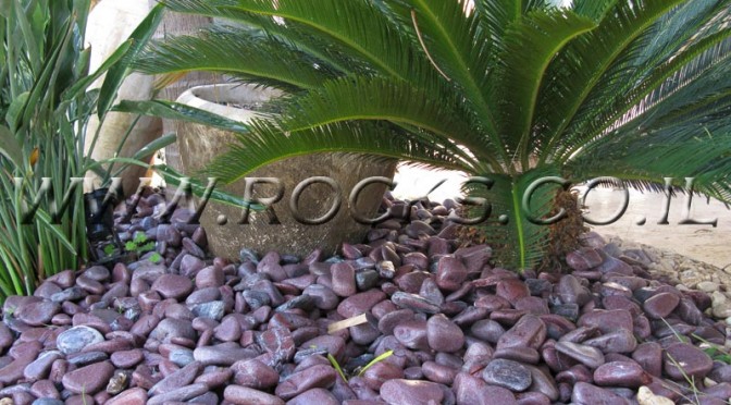 חלוקי נחל בגוונים