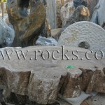 עצים מאובנים, גזעים מאובנים, עץ מאובן, כפר הסלעים